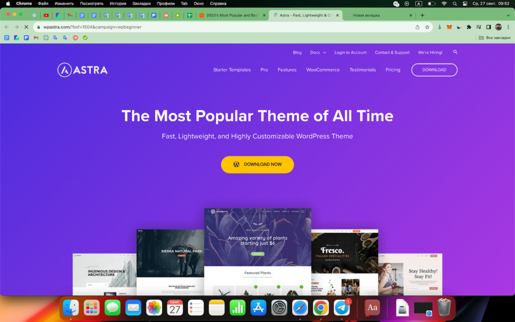 Site theme page