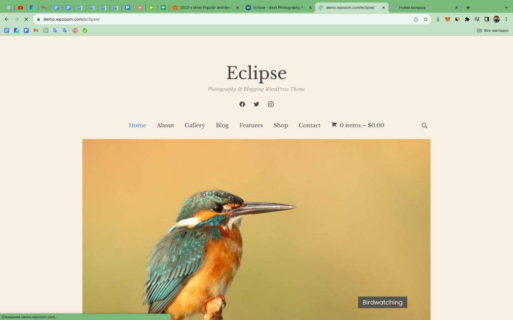 Site theme page