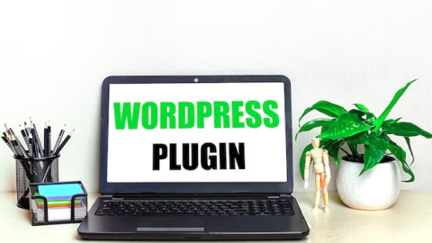 Open laptop on table with pen and plant next to it, displaying 'WordPress plugin' on the screen